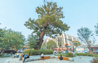 北京：參與式設計讓“小而美”串成線