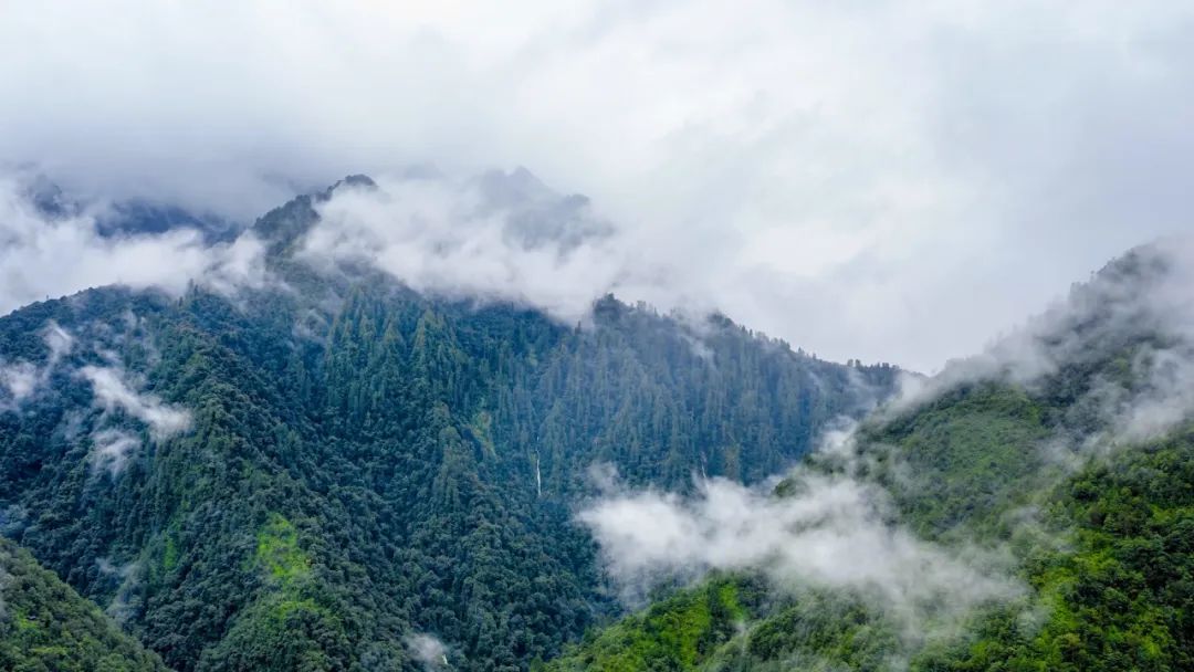 云南西藏聯(lián)合推進(jìn)創(chuàng)建國家公園