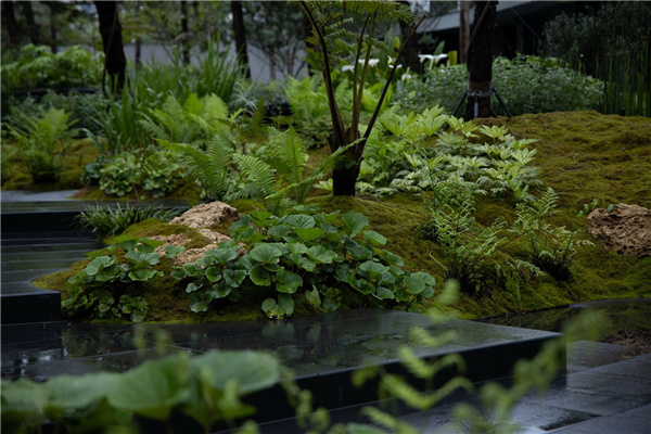 園冶杯參賽作品 | 麓湖W2悅溪樣板島