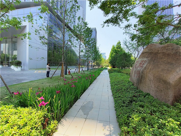 園冶杯參賽作品 | 啟迪設(shè)計大廈總部辦公樓景觀