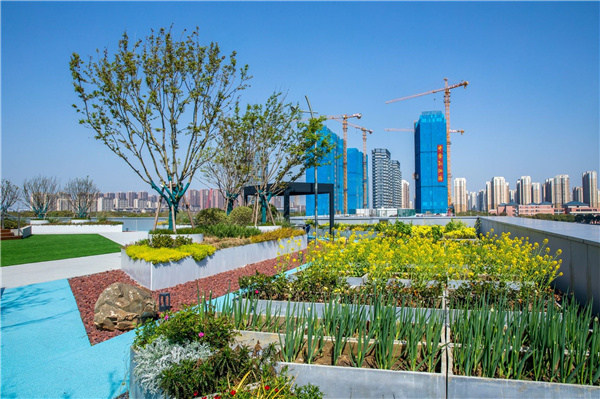 園冶杯參賽作品 | 啟迪設(shè)計大廈總部辦公樓景觀