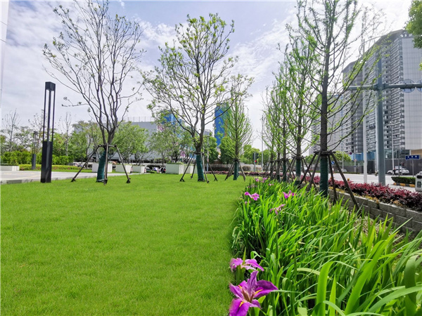 園冶杯參賽作品 | 啟迪設(shè)計大廈總部辦公樓景觀