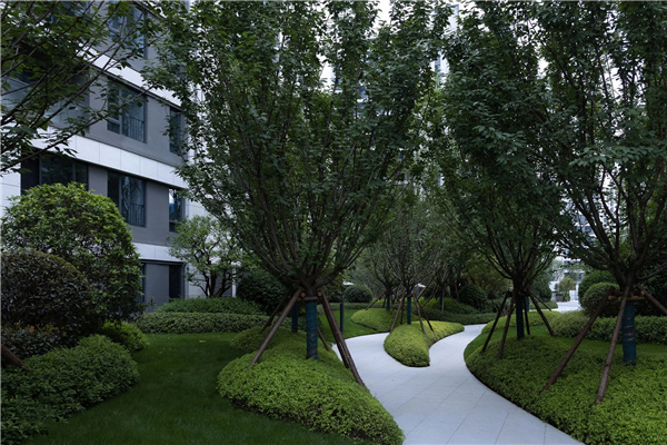 致瀾景觀丨成都國(guó)貿(mào)·鷺原