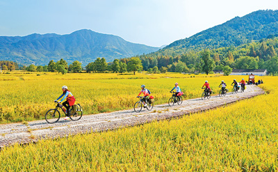 “氣象+”為鄉村旅游添活力