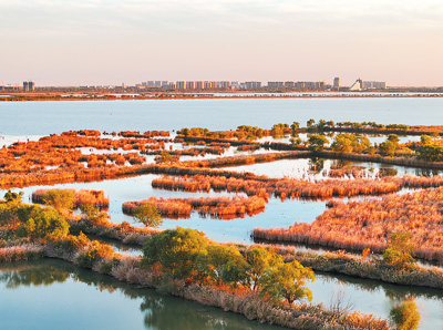 平原碧波衡水湖