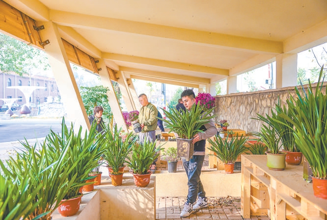 在京南小村邂逅“田園牧歌”