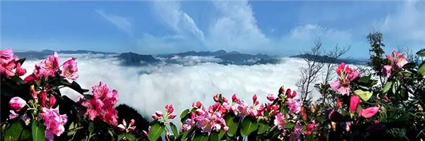 瀘古高速服務區(qū)及周邊地塊城市設計競賽,邀您參加