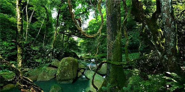 瀘古高速服務區(qū)及周邊地塊城市設計競賽,邀您參加