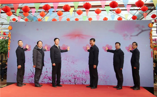 花漾齊魯喜迎新春 濟南園林花市暨2025年宵花節(jié)盛大開幕