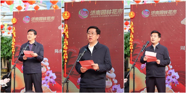 花漾齊魯喜迎新春 濟南園林花市暨2025年宵花節(jié)盛大開幕