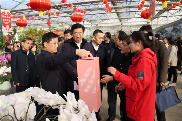 花漾齊魯喜迎新春 濟南園林花市暨2025年宵花節(jié)盛大開幕