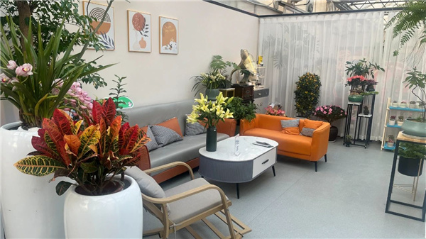 花漾齊魯喜迎新春 濟南園林花市暨2025年宵花節(jié)盛大開幕