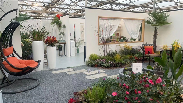 花漾齊魯喜迎新春 濟南園林花市暨2025年宵花節(jié)盛大開幕