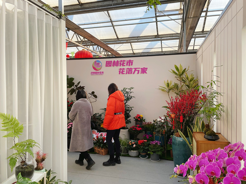 喜迎新春 濟南園林花市暨2025年宵花節(jié)盛大開幕