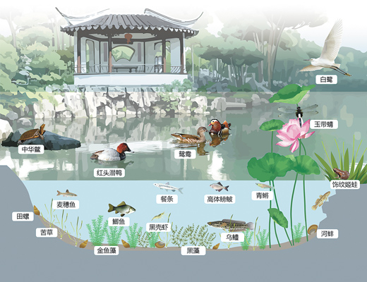 蘇州園林,何以展現生態意境?