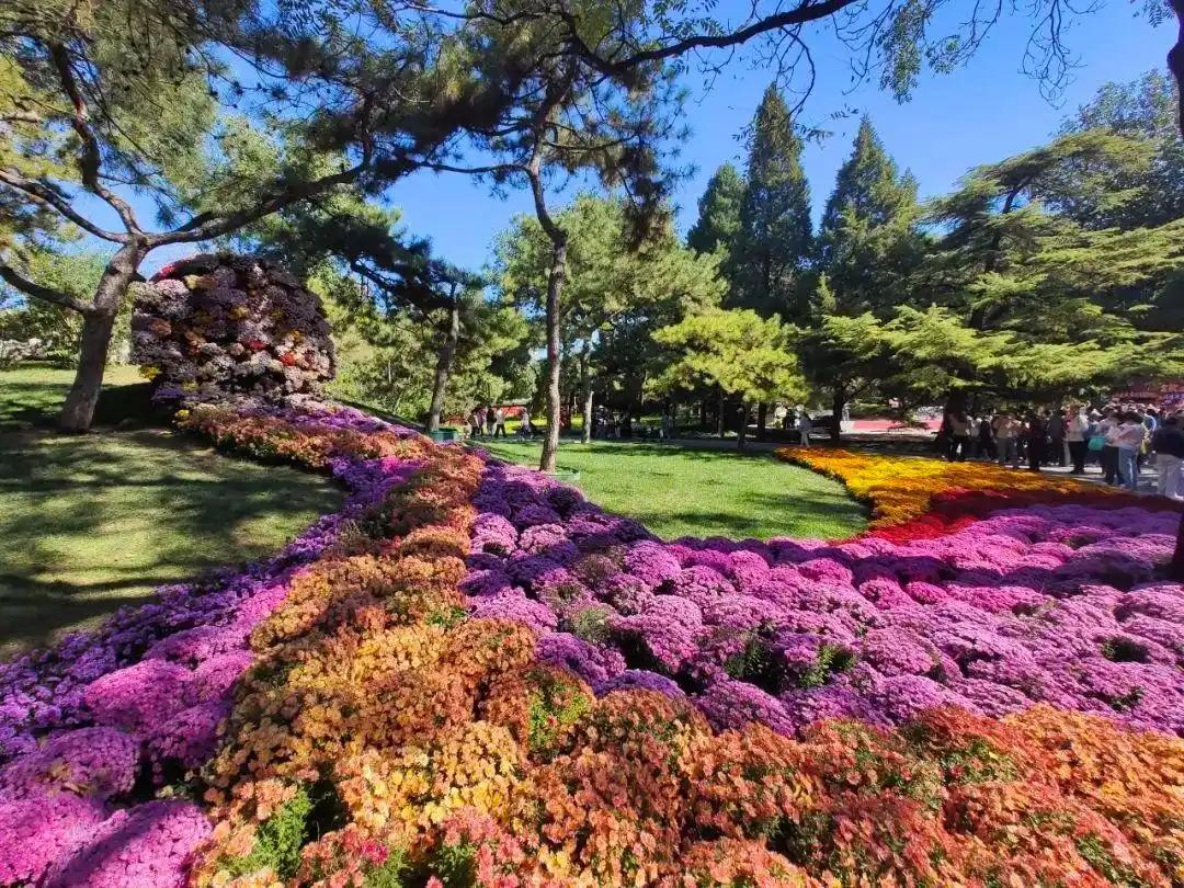 “公園+”激活“花園經(jīng)濟(jì)” 朝陽(yáng)花園節(jié)3月20日啟幕