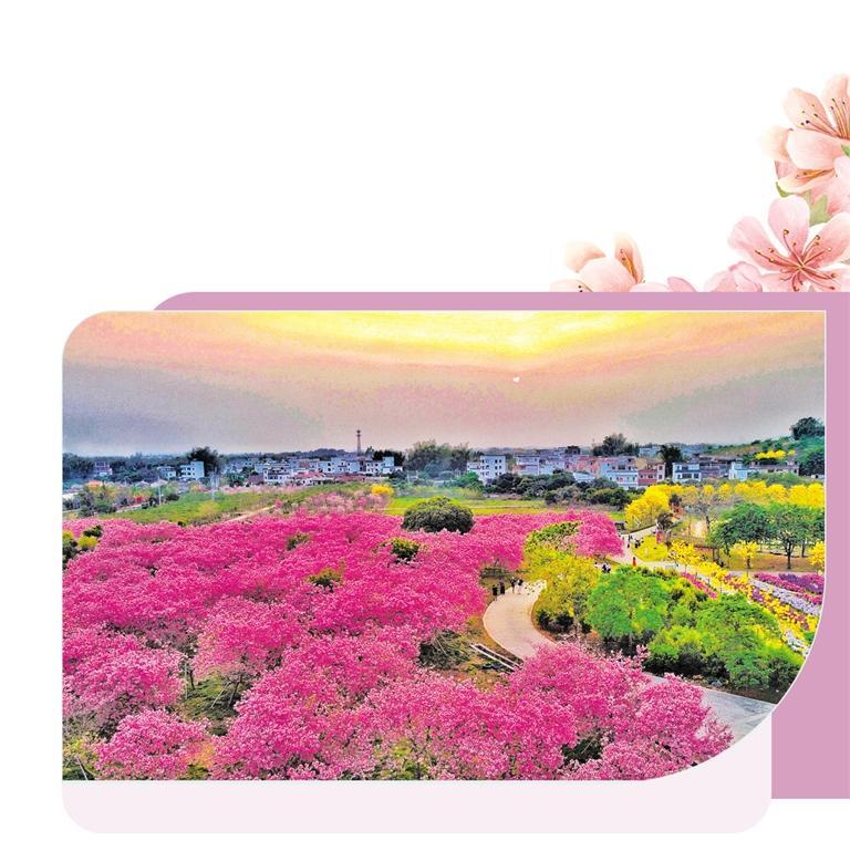 廣州“花卉＋文旅”釋放疊加效應