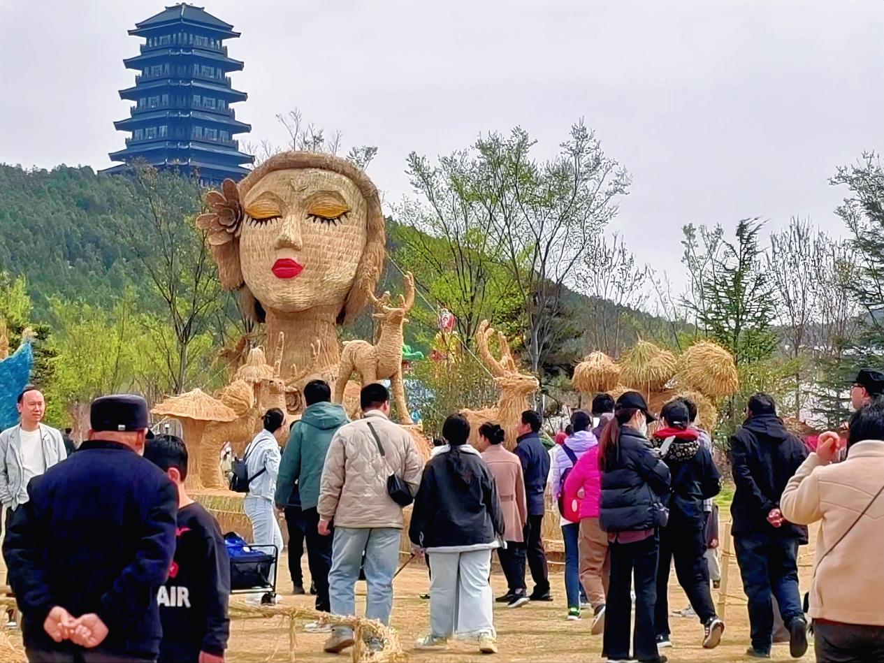 徐州園博園第三屆花海大地藝術季絢麗啟幕