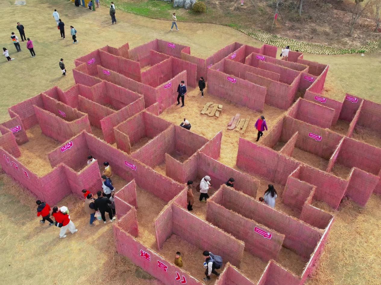 徐州園博園第三屆花海大地藝術季絢麗啟幕