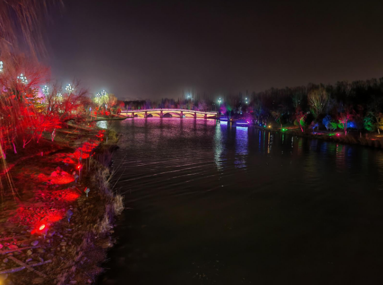 銀川花博園從賞花公園轉(zhuǎn)型為全時活力空間