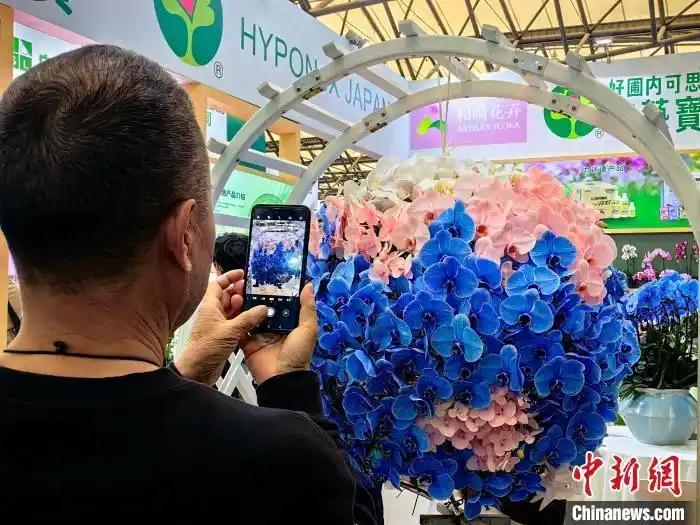 中國國際花卉園藝展覽會在上海舉行