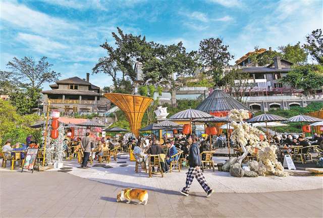 成渝城市更新項目雙雙“出圈”的背后