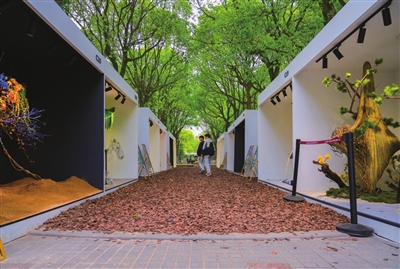 “探秘”上海花園節