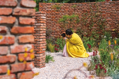 “探秘”上海花園節