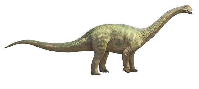 看重慶如何打造“侏羅紀(jì)+白堊紀(jì)公園”