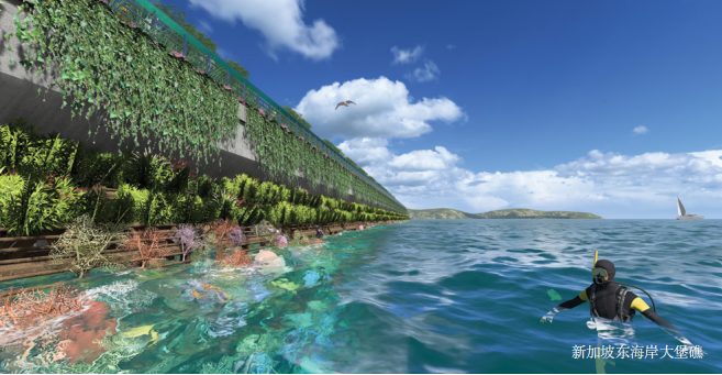 應對海平面上升的循環經濟戰略