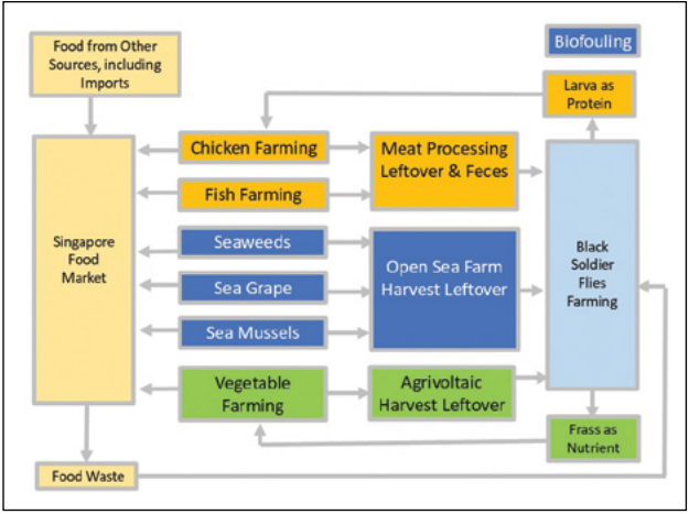 應對海平面上升的循環經濟戰略