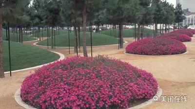 圣地亞哥池塘兒童公園