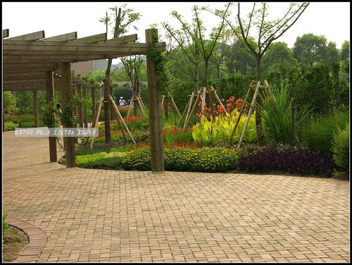 某公園的花境設計