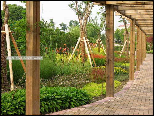 某公園的花境設計