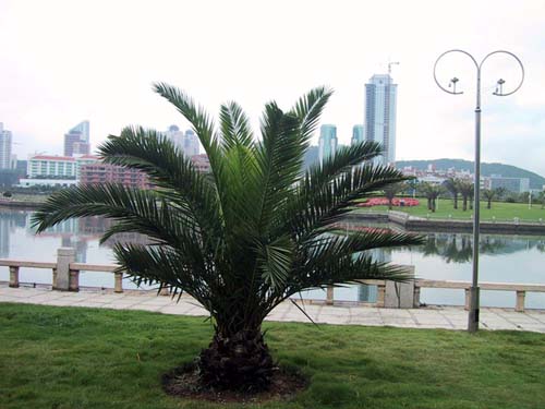 廈門白鷺洲公園