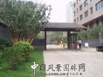 西單佳慧雅園園林綠化工程