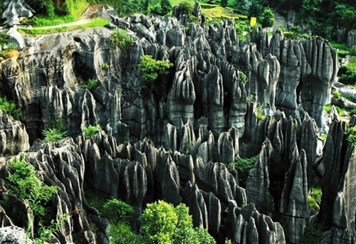 重慶萬盛黑山谷石林和銅鼓灘景區(qū)