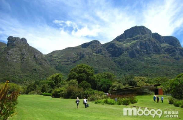 南非克斯騰伯什植物園 
