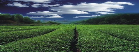 紹興龍虎山小景