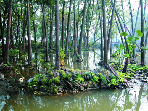 杭州西湖西進區域規劃