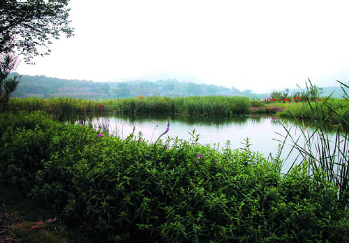 杭州西湖西進區域規劃