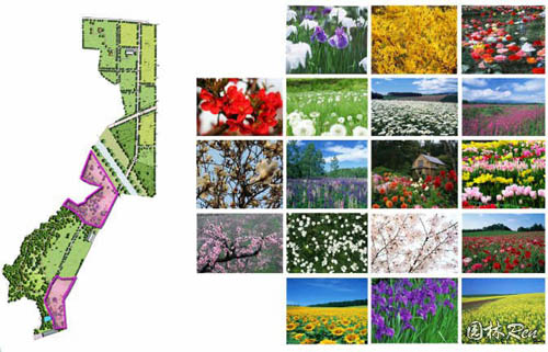 江蘇龍潤山莊生態觀光園規劃設計方案