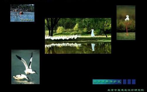 翠湖濕地生態園規劃設計