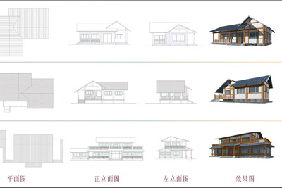 景觀 綠色 公園