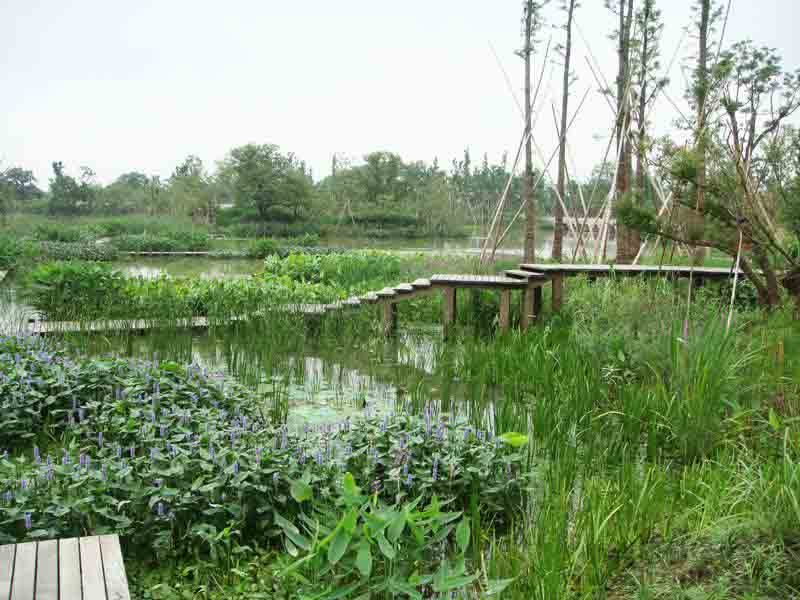 杭州 西溪 濕地