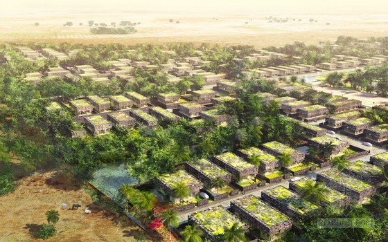 叢林住宅區(qū)