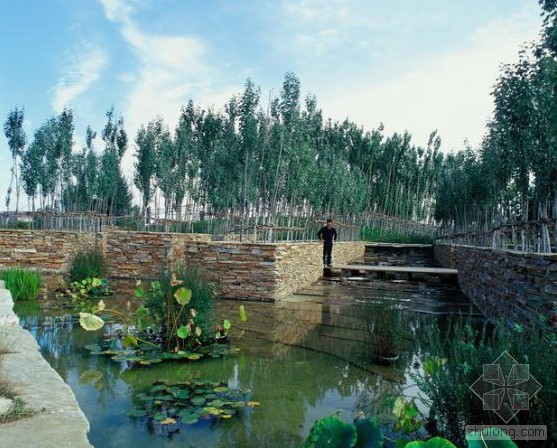 北京天恒別墅景觀設計 