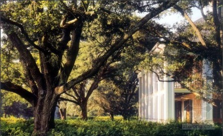 綠化 設(shè)計(jì) 景觀(guān)