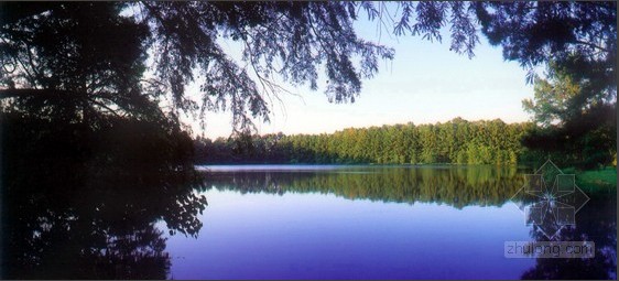 綠化 設(shè)計(jì) 景觀(guān)