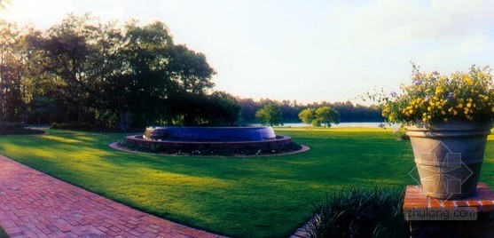 綠化 設(shè)計(jì) 景觀(guān)